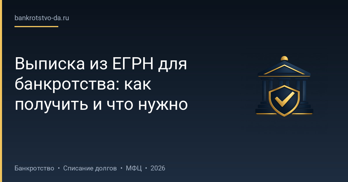 Выписка из ЕГРН для банкротства: как получить и что нужно