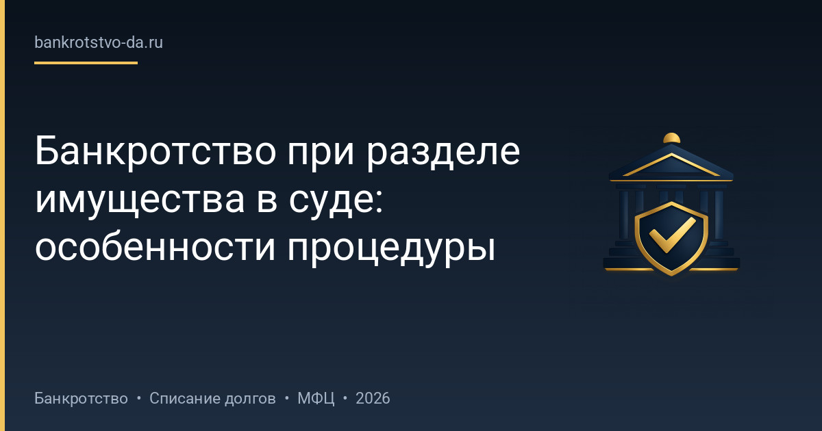Банкротство при разделе имущества в суде: особенности процедуры